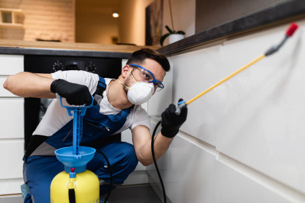 Flea Control Services in Sun Lakes, AZ
