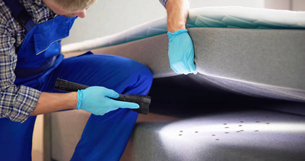 Trusted Sun Lakes, AZ Pest Control Experts
