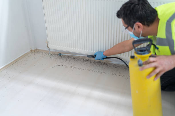 Best Affordable Pest Control Services  in Sun Lakes, AZ